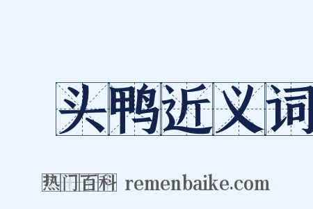 緑头鸭近义词是什么意思的图片